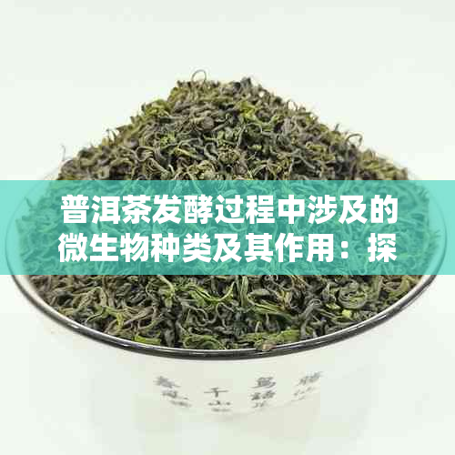 普洱茶发酵过程中涉及的微生物种类及其作用：探究渥堆发酵的关键微生物