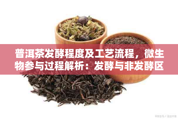 普洱茶发酵程度及工艺流程，微生物参与过程解析：发酵与非发酵区别。