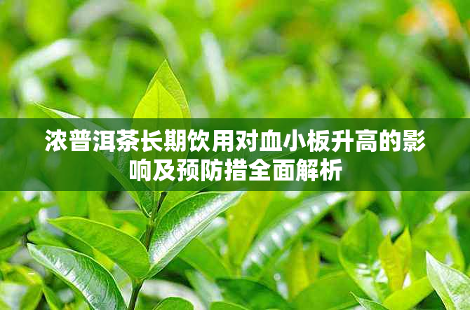 浓普洱茶长期饮用对血小板升高的影响及预防措全面解析