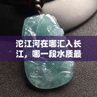 沱江河在哪汇入长江，哪一段水质更好和哪种最多？