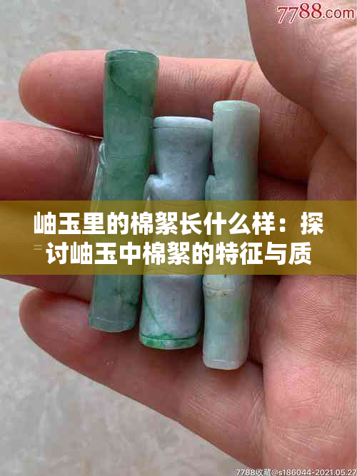 岫玉里的棉絮长什么样：探讨岫玉中棉絮的特征与质量关系