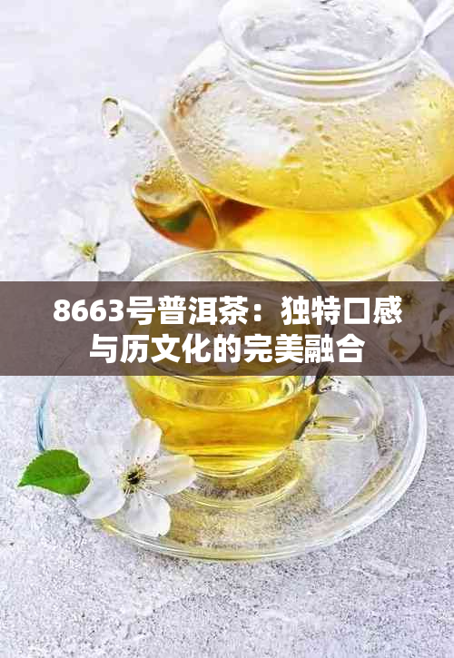 8663号普洱茶：独特口感与历文化的完美融合