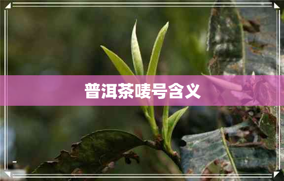 普洱茶唛号含义