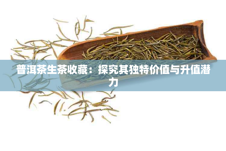 普洱茶生茶收藏：探究其独特价值与升值潜力