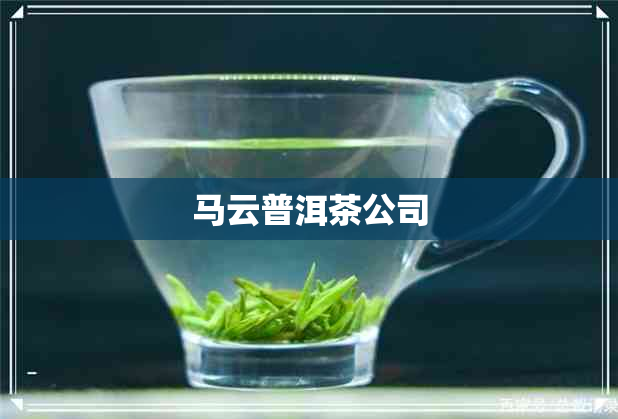 马云普洱茶公司