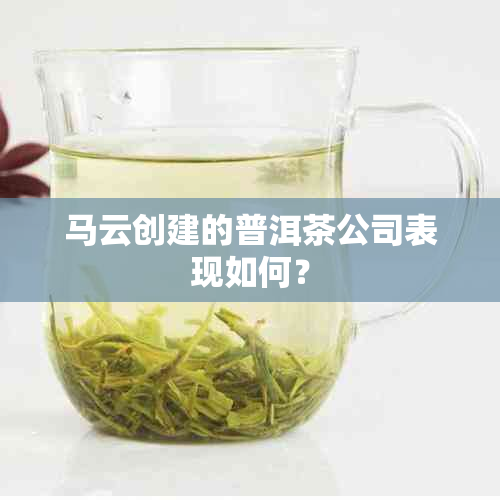 马云创建的普洱茶公司表现如何？