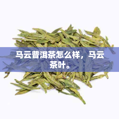 马云普洱茶怎么样，马云茶叶。