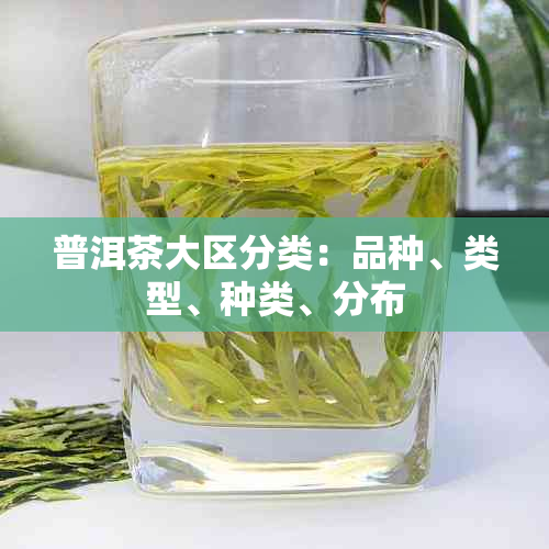 普洱茶大区分类：品种、类型、种类、分布