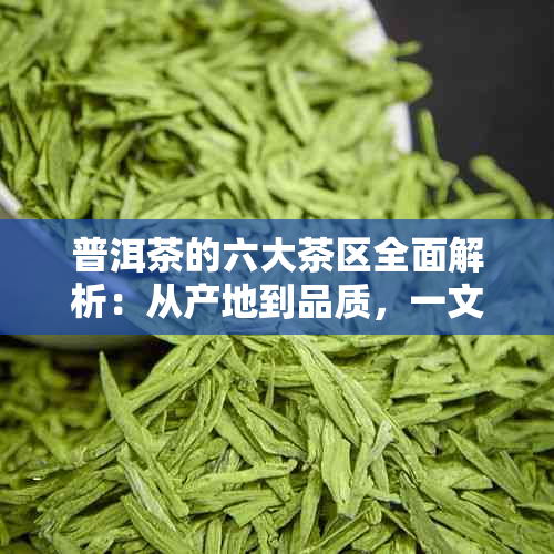 普洱茶的六大茶区全面解析：从产地到品质，一文了解所有你想知道的！