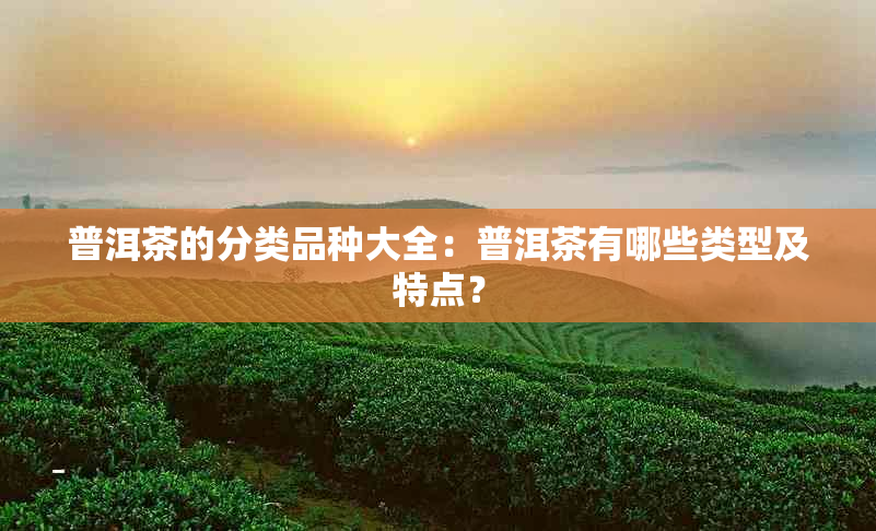 普洱茶的分类品种大全：普洱茶有哪些类型及特点？