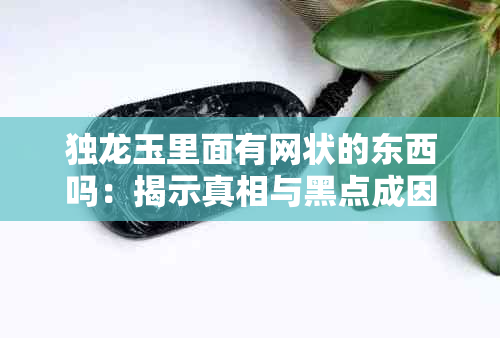 独龙玉里面有网状的东西吗：揭示真相与黑点成因