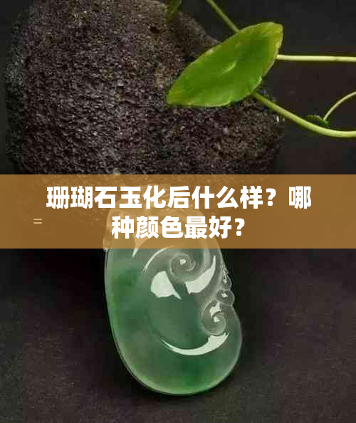 珊瑚石玉化后什么样？哪种颜色更好？