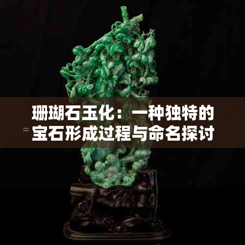 珊瑚石玉化：一种独特的宝石形成过程与命名探讨