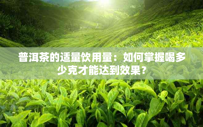 普洱茶的适量饮用量：如何掌握喝多少克才能达到效果？