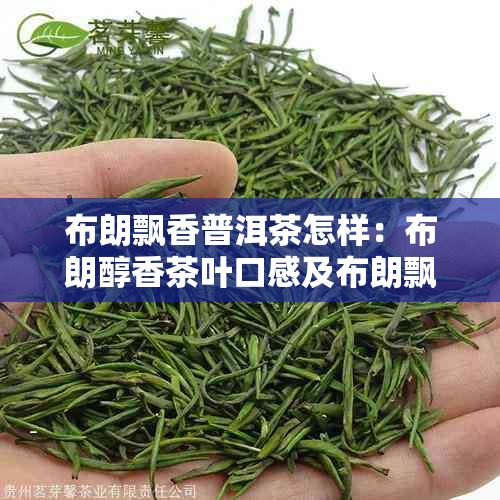 布朗飘香普洱茶怎样：布朗醇香茶叶口感及布朗飘香茶叶详情