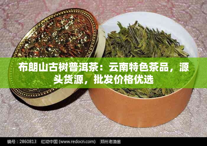 布朗山古树普洱茶：云南特色茶品，源头货源，批发价格优选