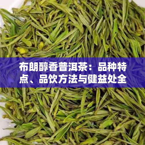 布朗醇香普洱茶：品种特点、品饮方法与健益处全面解析