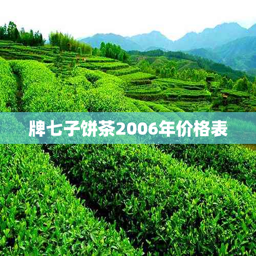 牌七子饼茶2006年价格表