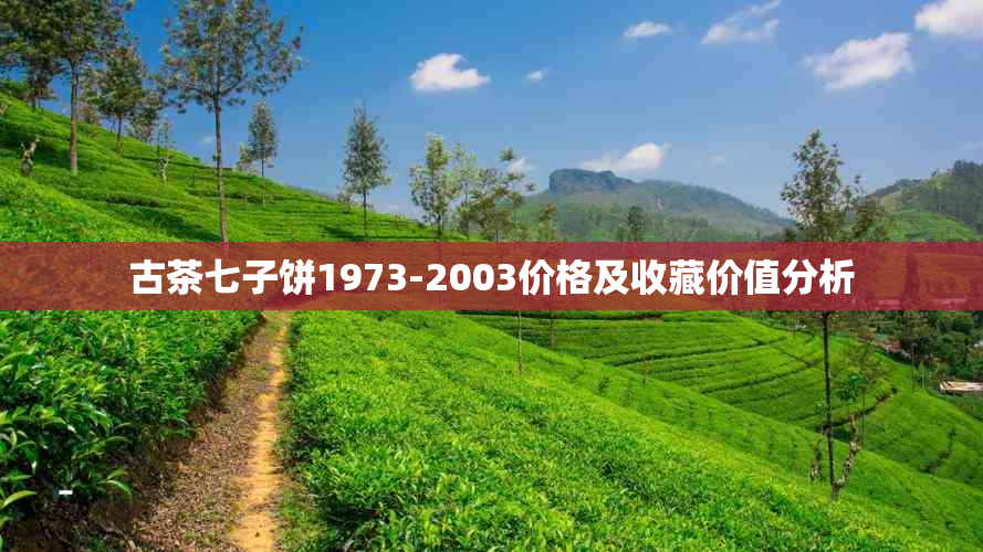 古茶七子饼1973-2003价格及收藏价值分析