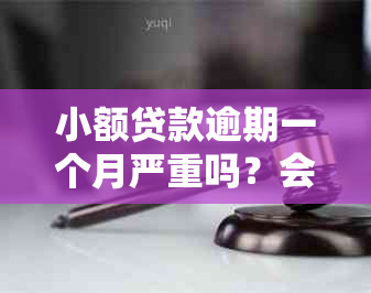 小额贷款逾期一个月严重吗？会怎么样？影响吗？