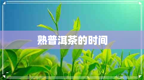 熟普洱茶的时间