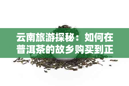 云南旅游探秘：如何在普洱茶的故乡购买到正宗茶叶？