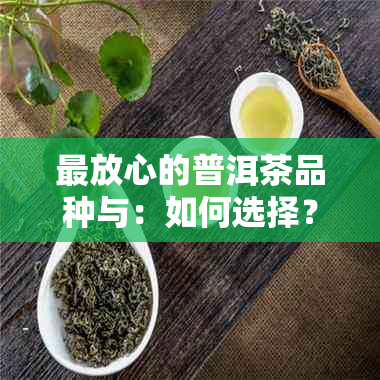 最放心的普洱茶品种与：如何选择？