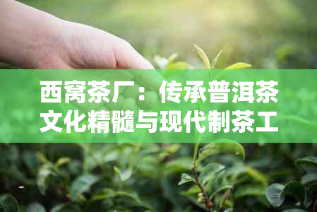 西窝茶厂：传承普洱茶文化精髓与现代制茶工艺的完美融合