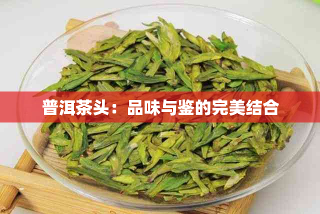 普洱茶头：品味与鉴的完美结合