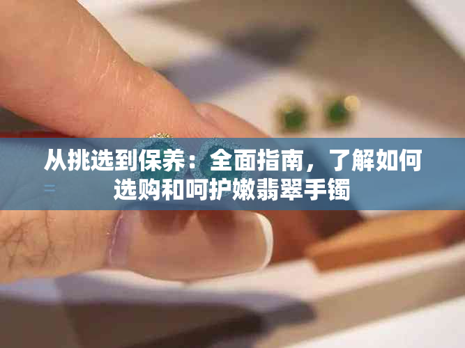 从挑选到保养：全面指南，了解如何选购和呵护嫩翡翠手镯