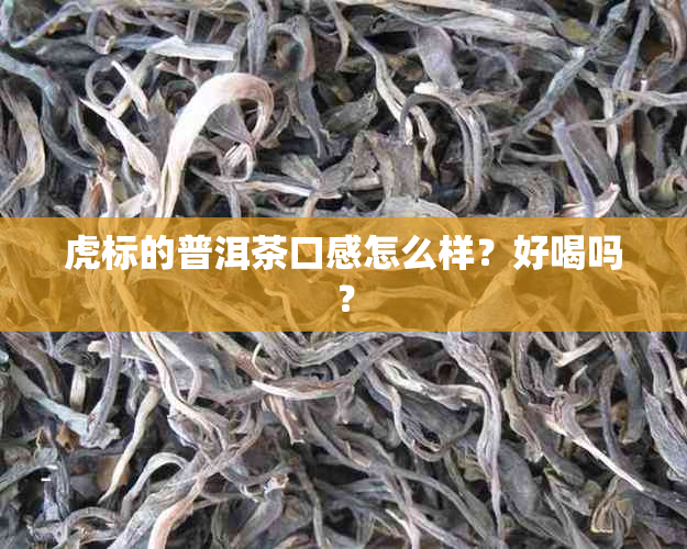 虎标的普洱茶口感怎么样？好喝吗？