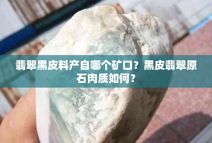 翡翠黑皮料产自哪个矿口？黑皮翡翠原石肉质如何？