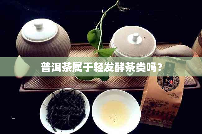 普洱茶属于轻发酵茶类吗？