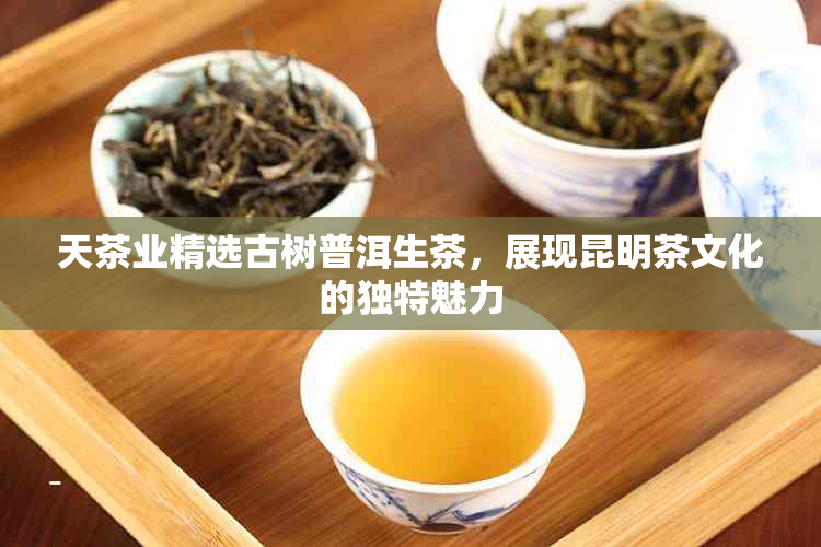 天茶业精选古树普洱生茶，展现昆明茶文化的独特魅力