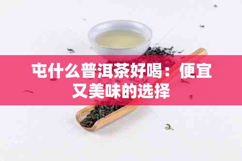 屯什么普洱茶好喝：便宜又美味的选择