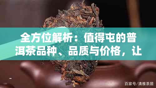 全方位解析：值得屯的普洱茶品种、品质与价格，让你轻松挑选普洱茶