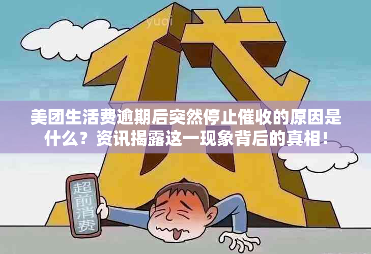 美团生活费逾期后突然停止的原因是什么？资讯揭露这一现象背后的真相！