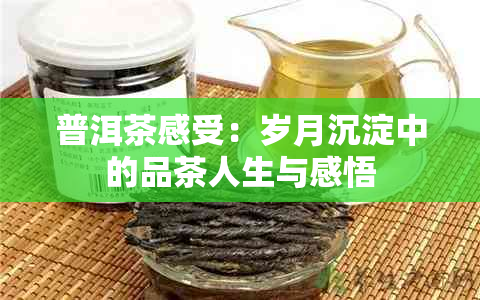 普洱茶感受：岁月沉淀中的品茶人生与感悟