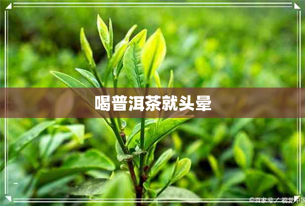 喝普洱茶就头晕