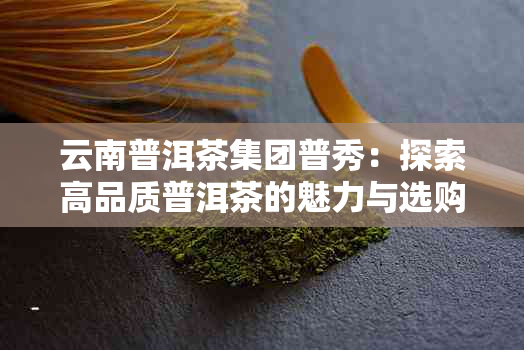 云南普洱茶集团普秀：探索高品质普洱茶的魅力与选购指南