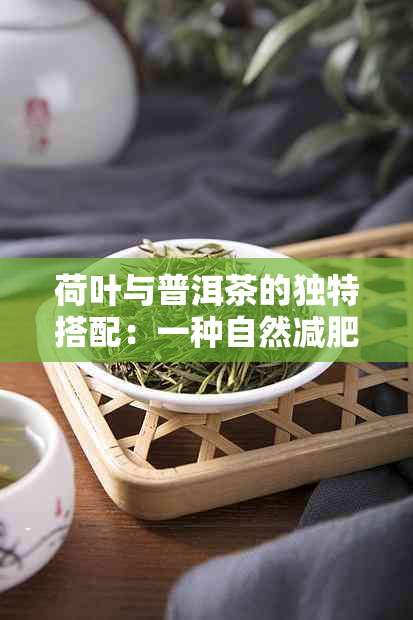 荷叶与普洱茶的独特搭配：一种自然减肥新方法