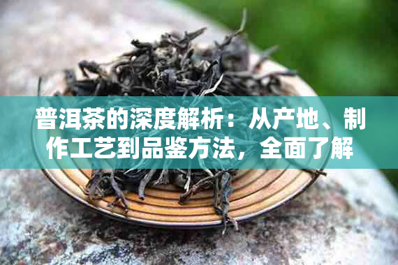 普洱茶的深度解析：从产地、制作工艺到品鉴方法，全面了解普洱茶的奥秘