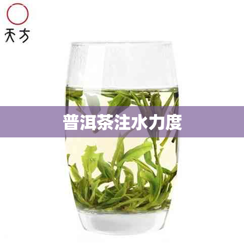 普洱茶注水力度