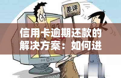 信用卡逾期还款的解决方案：如何进行有效公证？