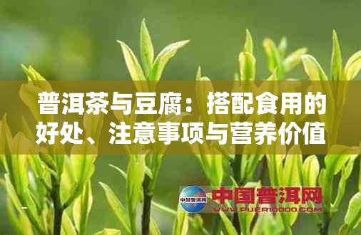 普洱茶与豆腐：搭配食用的好处、注意事项与营养价值全解析