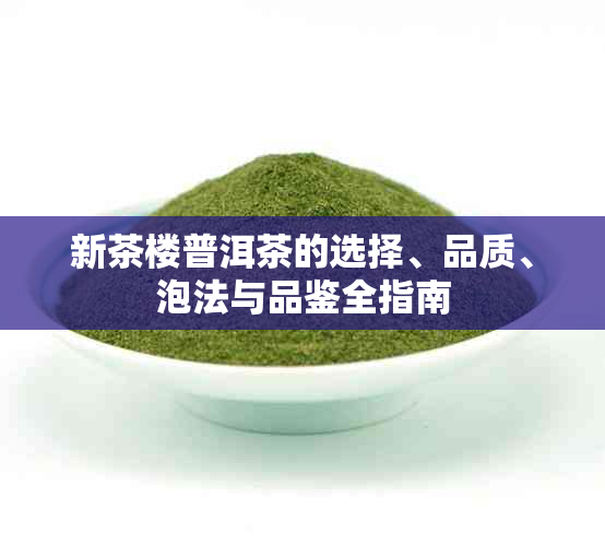 新茶楼普洱茶的选择、品质、泡法与品鉴全指南