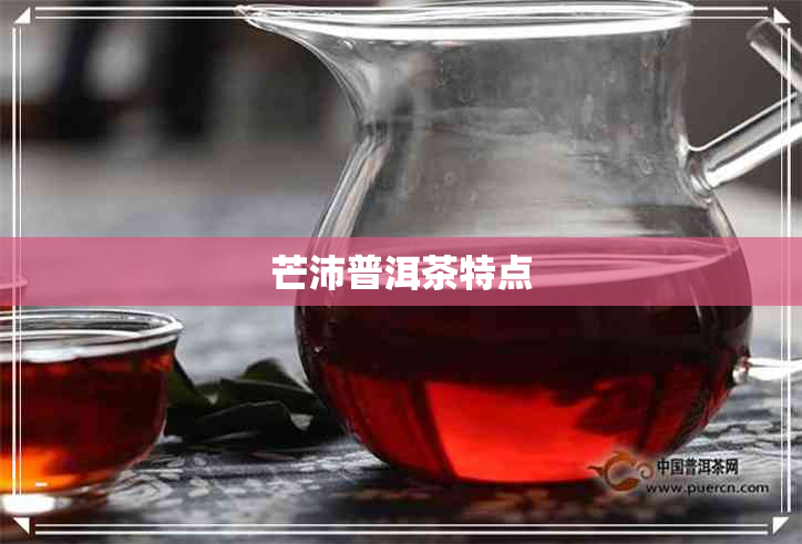 芒沛普洱茶特点