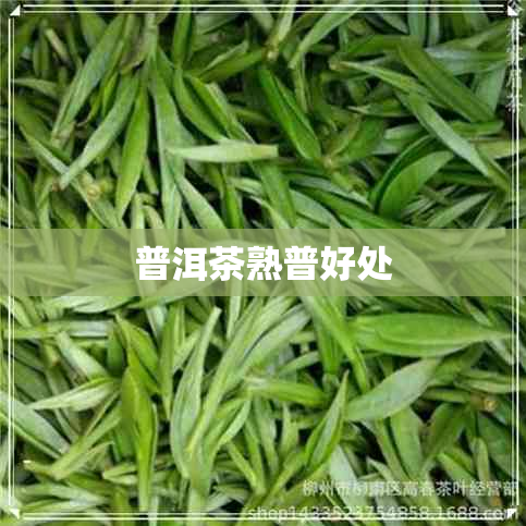 普洱茶熟普好处