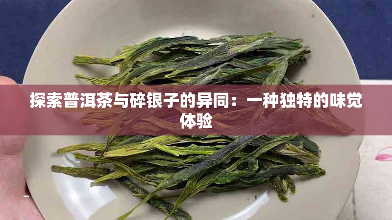 探索普洱茶与碎银子的异同：一种独特的味觉体验