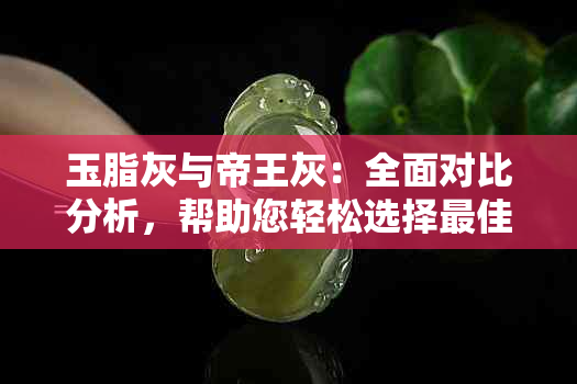 玉脂灰与帝王灰：全面对比分析，帮助您轻松选择更佳颜色！